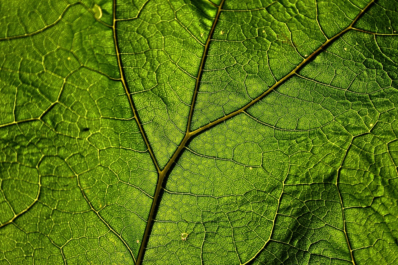 Getting Arty: Leaf Painting Crafts for the Kids